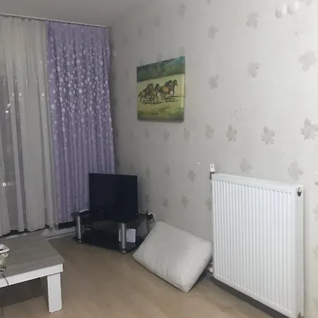 Havuz Olanagi Olan Site Icinde Konut Istanbul